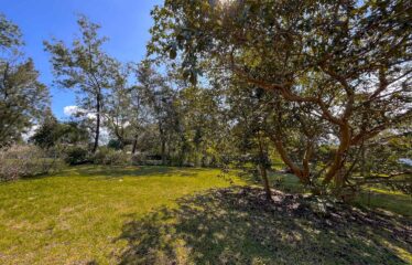 Venta de Terrenos Premium en una Ubicación Privilegiada Hacienda los Reyes