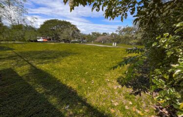 Venta de Terrenos Premium en una Ubicación Privilegiada Hacienda los Reyes