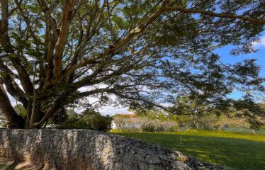 Venta de Terrenos Premium en una Ubicación Privilegiada Hacienda los Reyes