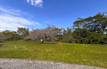 Venta de Terrenos Premium en una Ubicación Privilegiada Hacienda los Reyes