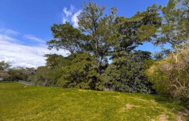 Venta de Terrenos Premium en una Ubicación Privilegiada Hacienda los Reyes