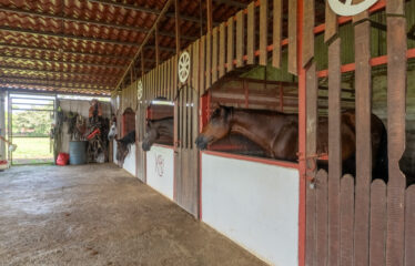 Casa con corral profesional para los amantes de los caballos