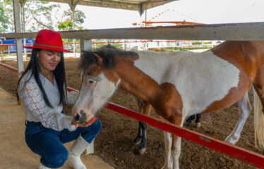 Casa con corral profesional para los amantes de los caballos
