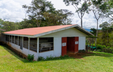 Casa con corral profesional para los amantes de los caballos