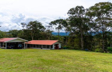Casa con corral profesional para los amantes de los caballos