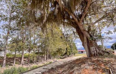 Lotes en Venta en Cartago, Condominio Arrabará