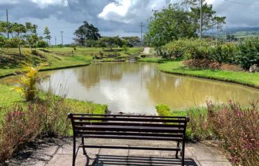 Lotes en Venta en Cartago, Condominio Arrabará