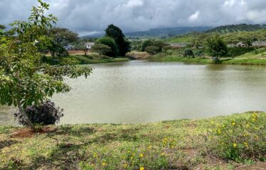 Lotes en Venta en Cartago, Condominio Arrabará